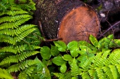 DPP_0776.JPG